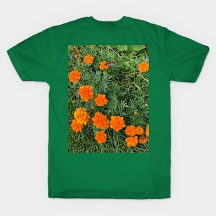 Orange Flowers with Monarch Butterfly T-Shirt